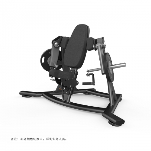 海东SH-G6906肱二头肌弯举训练器