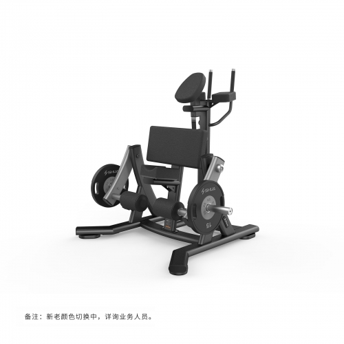 海东SH-G6909大腿屈伸训练器